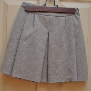 Heavy Pleated Skirt